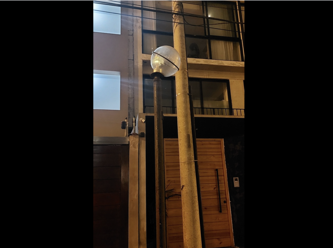 Cristina Dreifuss. Mediocridad.